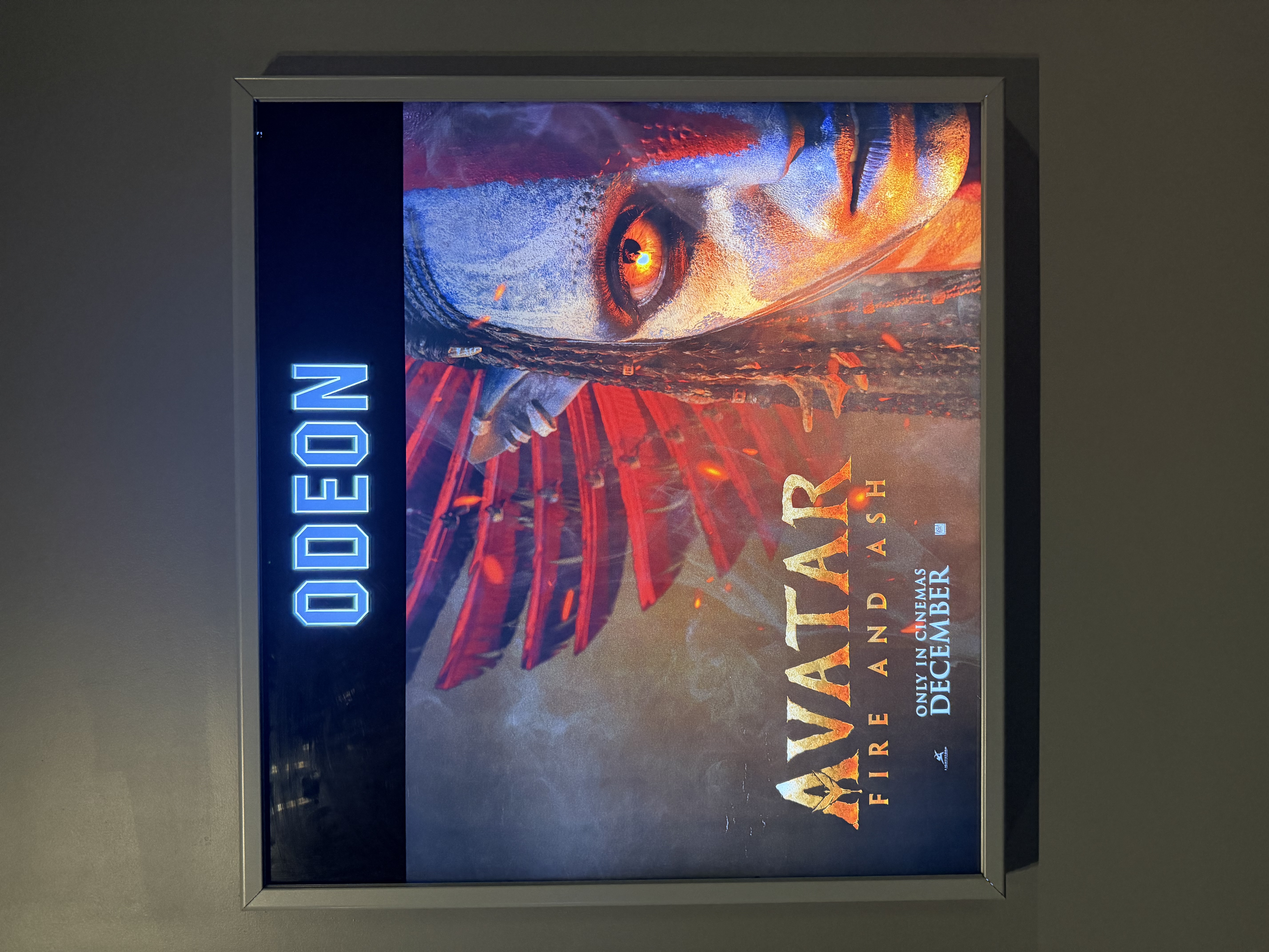 第18期 - 认知过载