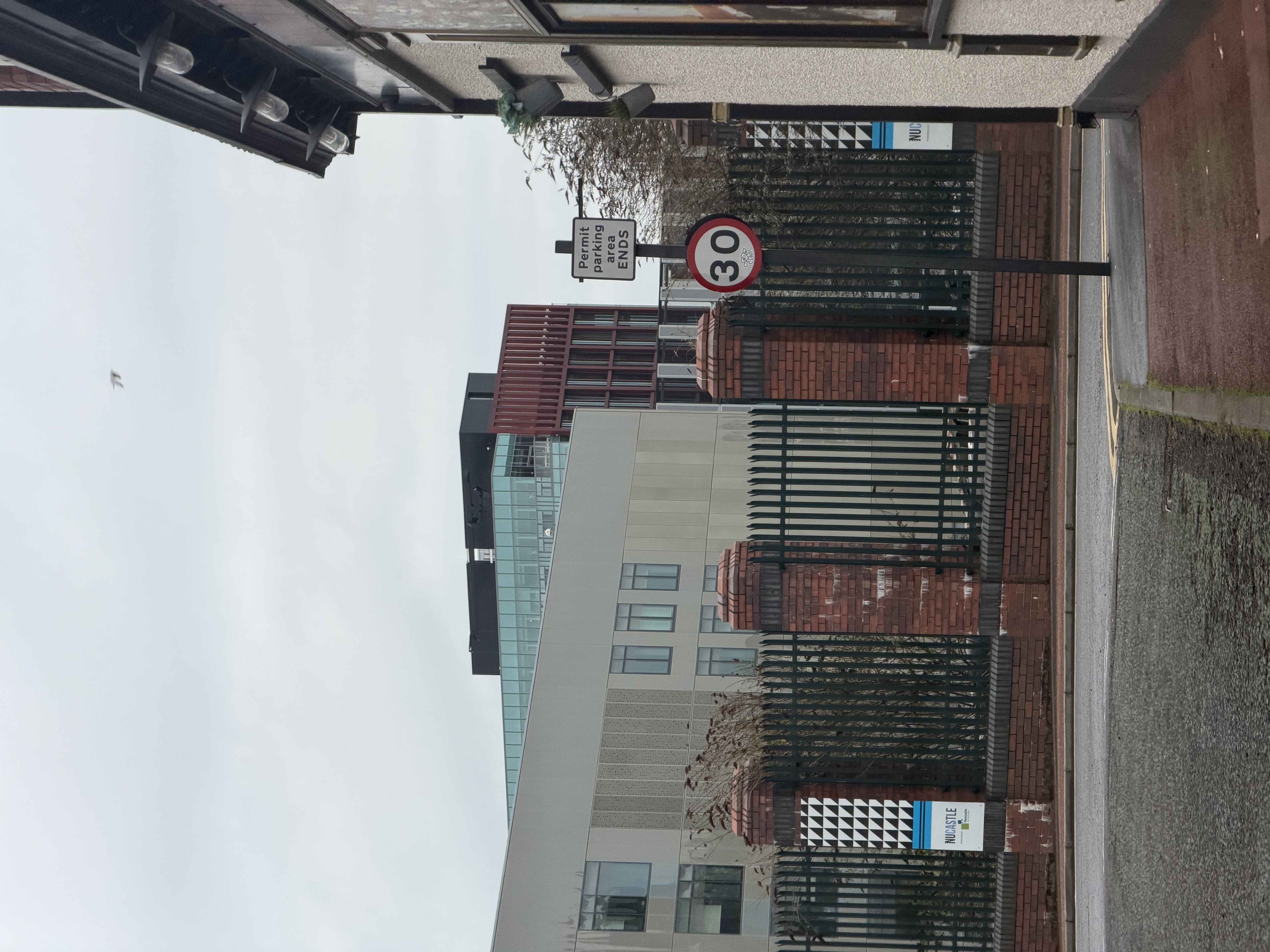 第19期 - 混乱有序