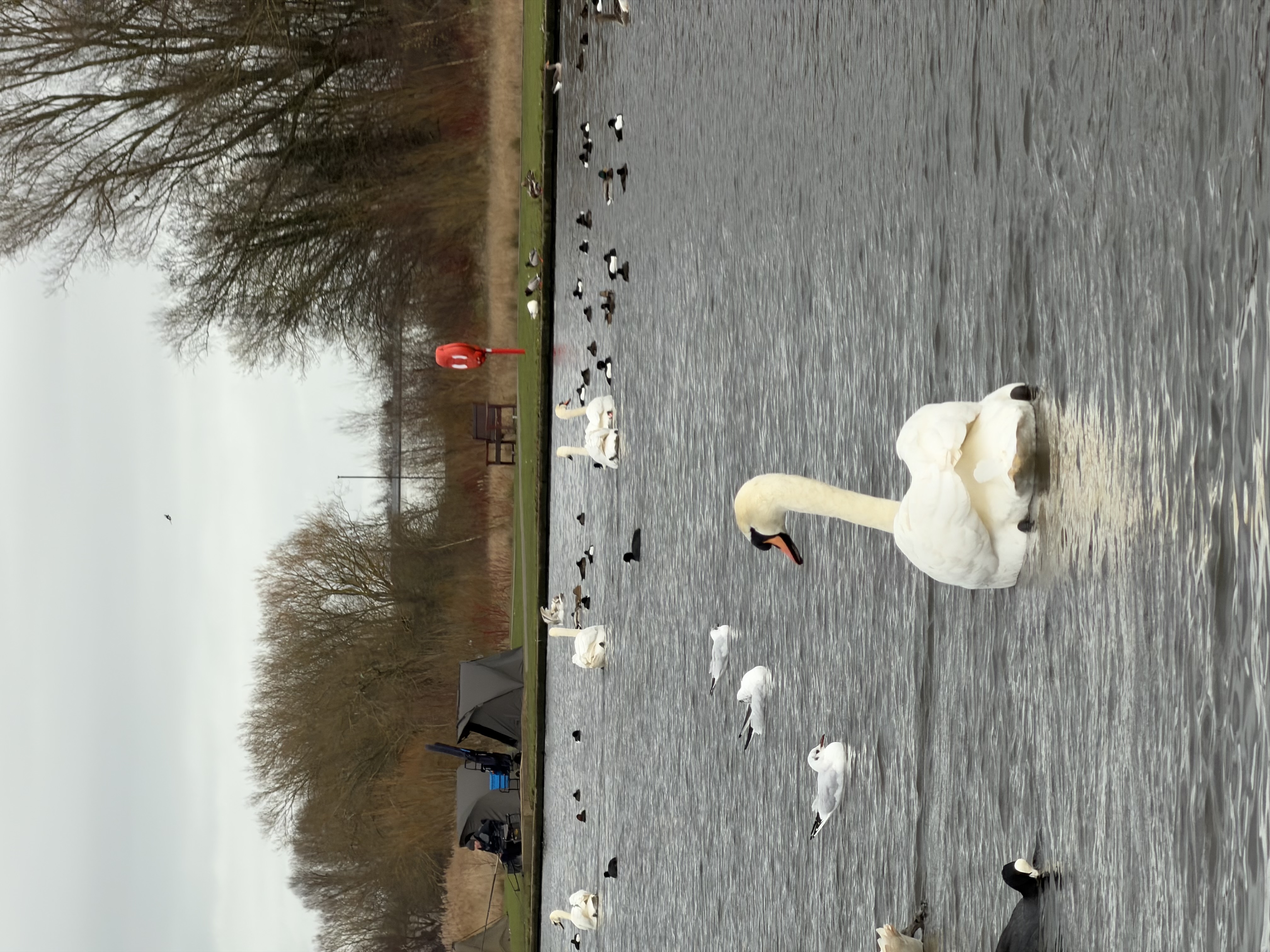 第26期 - 赛博春节